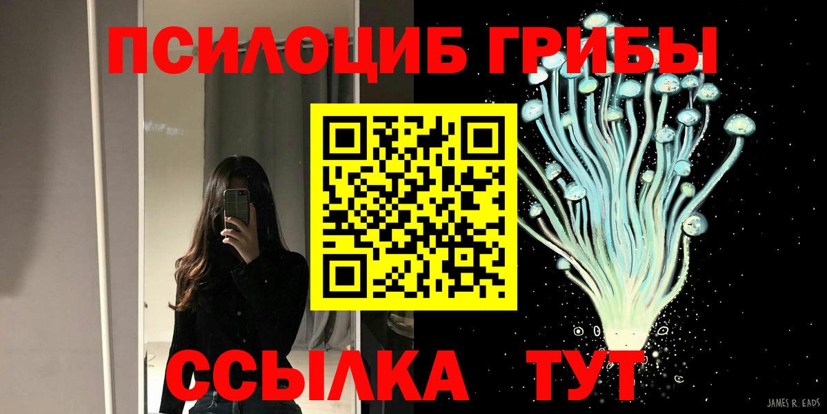 Сочи  Псилоцибиновые грибы Cubensis  Вход с VPN 