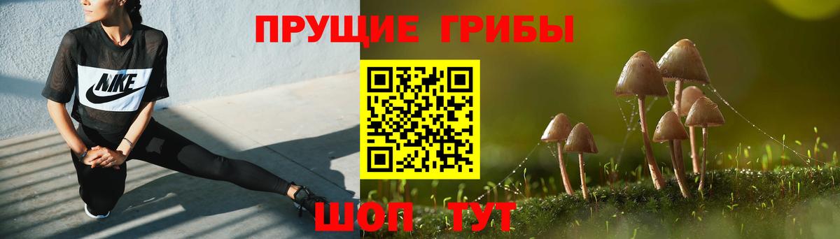 Псилоцибиновые грибы Psilocybine cubensis Сочи